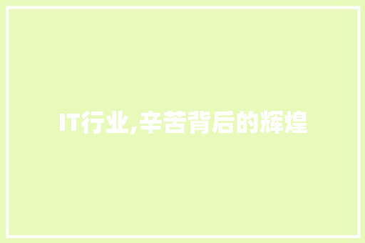 IT行业,辛苦背后的辉煌