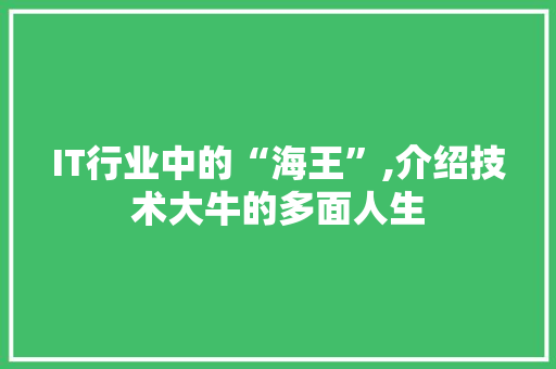 IT行业中的“海王”,介绍技术大牛的多面人生 搜狗优化