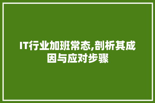 IT行业加班常态,剖析其成因与应对步骤 seo技术