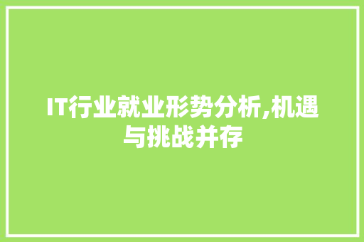 IT行业就业形势分析,机遇与挑战并存