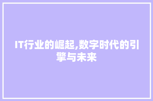 IT行业的崛起,数字时代的引擎与未来 网站开发