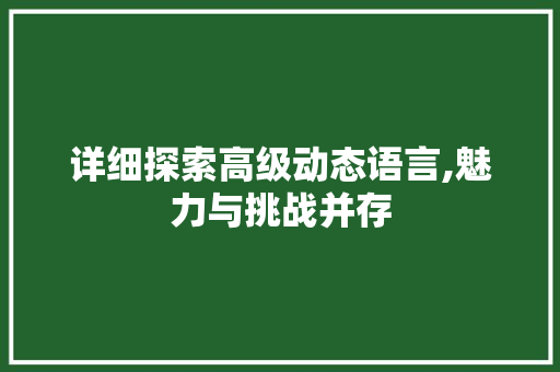 详细探索高级动态语言,魅力与挑战并存