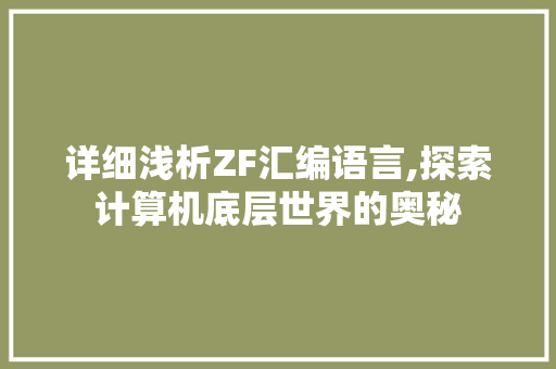 详细浅析ZF汇编语言,探索计算机底层世界的奥秘 英文谷歌算法