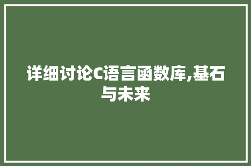 详细讨论C语言函数库,基石与未来 seo技术