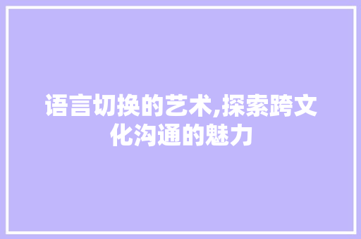 语言切换的艺术,探索跨文化沟通的魅力