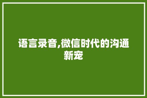 语言录音,微信时代的沟通新宠