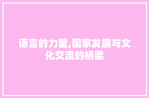 语言的力量,国家发展与文化交流的桥梁 英文谷歌算法