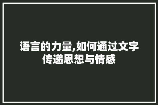 语言的力量,如何通过文字传递思想与情感