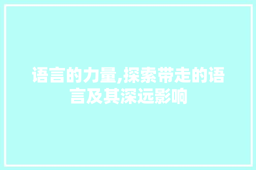 语言的力量,探索带走的语言及其深远影响