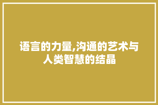 语言的力量,沟通的艺术与人类智慧的结晶