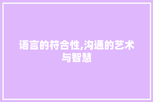 语言的符合性,沟通的艺术与智慧