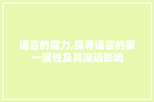 语言的魔力,探寻语言的第一属性及其深远影响 网站开发