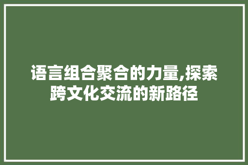 语言组合聚合的力量,探索跨文化交流的新路径
