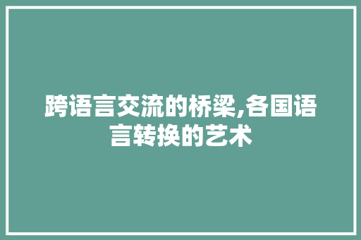 跨语言交流的桥梁,各国语言转换的艺术 网站优化