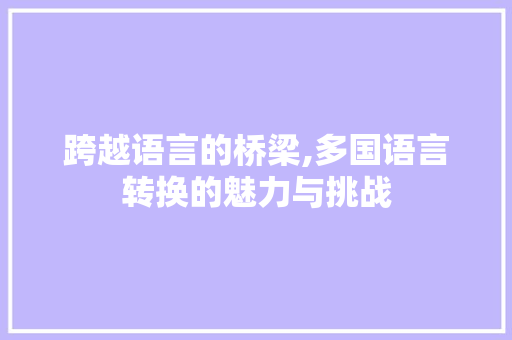 跨越语言的桥梁,多国语言转换的魅力与挑战 seo技术