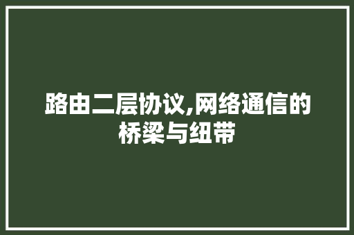 路由二层协议,网络通信的桥梁与纽带