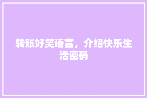 转账好笑语言，介绍快乐生活密码 头条优化