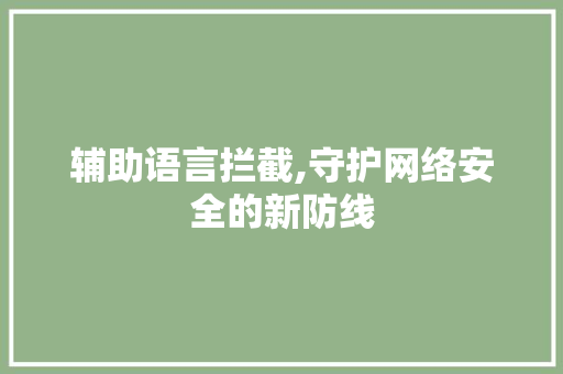 辅助语言拦截,守护网络安全的新防线