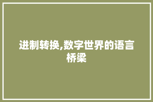 进制转换,数字世界的语言桥梁