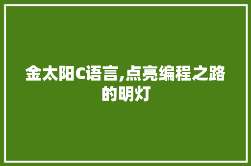 金太阳C语言,点亮编程之路的明灯 360搜优化