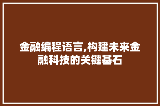 金融编程语言,构建未来金融科技的关键基石 头条优化