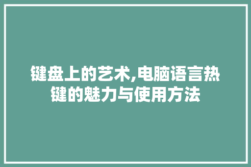 键盘上的艺术,电脑语言热键的魅力与使用方法 seo技术