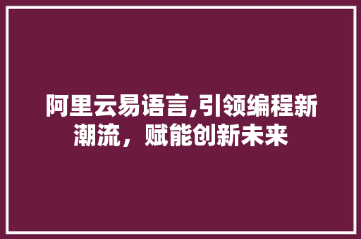 阿里云易语言,引领编程新潮流，赋能创新未来