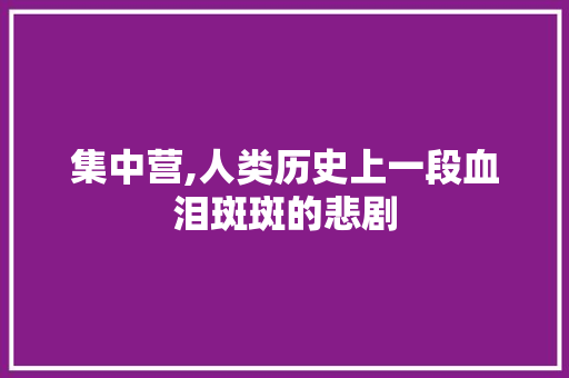 集中营,人类历史上一段血泪斑斑的悲剧 头条优化
