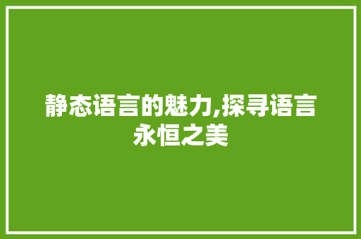 静态语言的魅力,探寻语言永恒之美