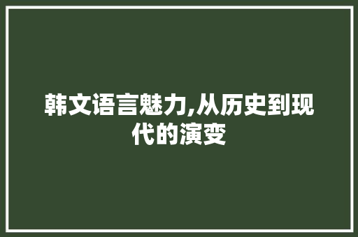 韩文语言魅力,从历史到现代的演变