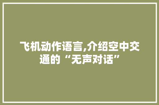 飞机动作语言,介绍空中交通的“无声对话” 搜狗优化