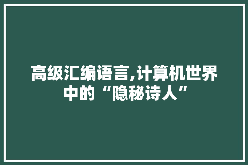 高级汇编语言,计算机世界中的“隐秘诗人”