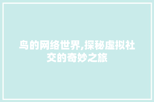 鸟的网络世界,探秘虚拟社交的奇妙之旅