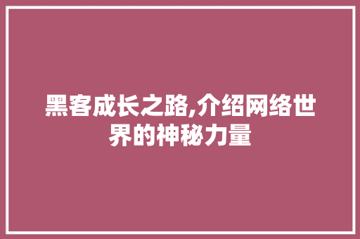 黑客成长之路,介绍网络世界的神秘力量