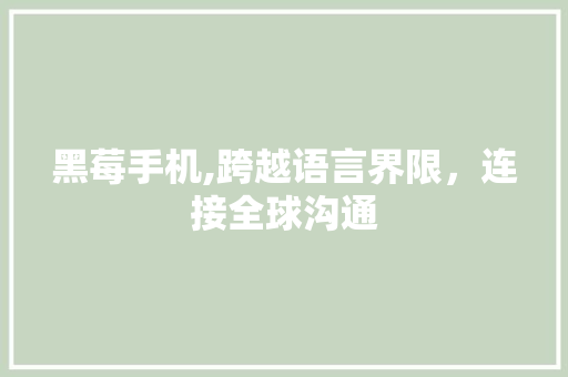 黑莓手机,跨越语言界限，连接全球沟通