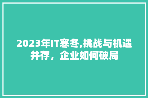 2023年IT寒冬,挑战与机遇并存，企业如何破局