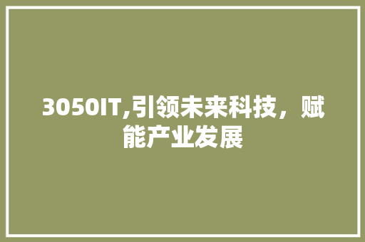 3050IT,引领未来科技，赋能产业发展