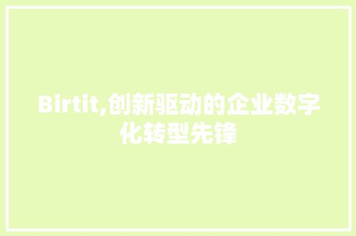 Birtit,创新驱动的企业数字化转型先锋
