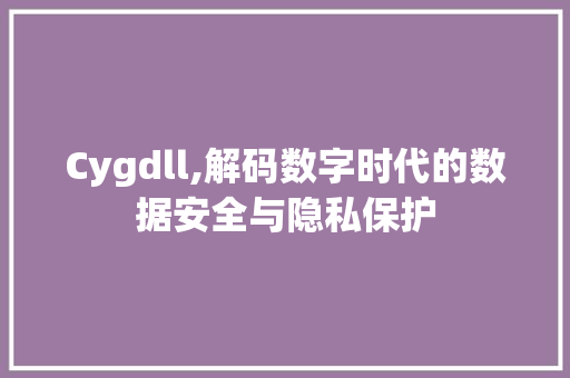 Cygdll,解码数字时代的数据安全与隐私保护