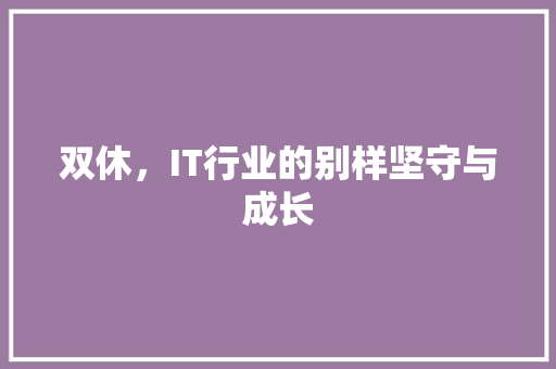 双休，IT行业的别样坚守与成长 360搜优化