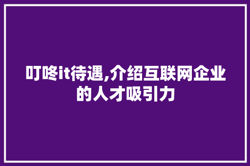 叮咚it待遇,介绍互联网企业的人才吸引力 网站优化