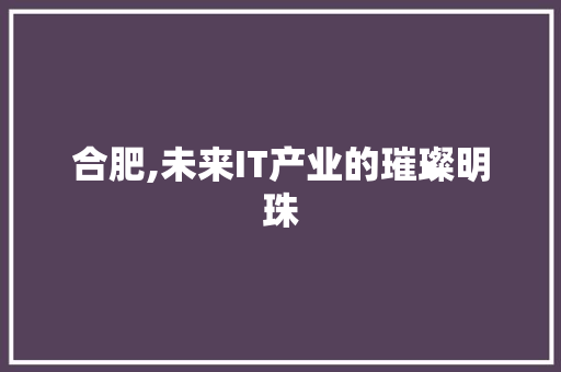 合肥,未来IT产业的璀璨明珠 英文谷歌算法
