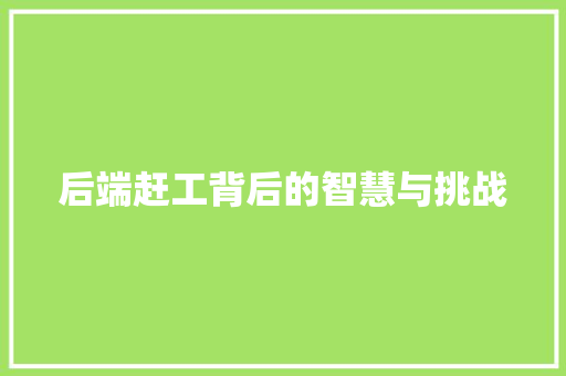 后端赶工背后的智慧与挑战 小程序开发