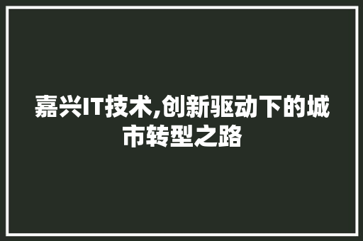 嘉兴IT技术,创新驱动下的城市转型之路 AI技术学习