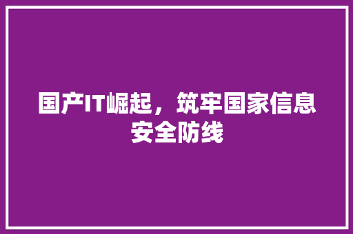 国产IT崛起，筑牢国家信息安全防线