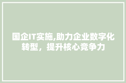 国企IT实施,助力企业数字化转型，提升核心竞争力 头条优化