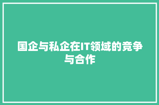 国企与私企在IT领域的竞争与合作