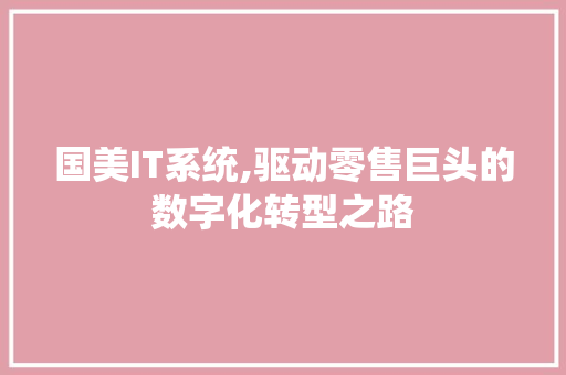 国美IT系统,驱动零售巨头的数字化转型之路 网站开发