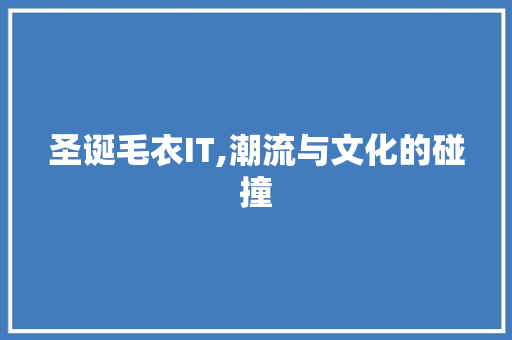 圣诞毛衣IT,潮流与文化的碰撞 网站优化