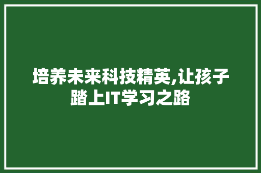 培养未来科技精英,让孩子踏上IT学习之路 网站优化